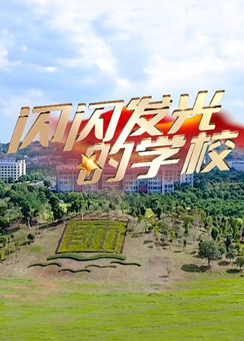 闪闪发光的学校