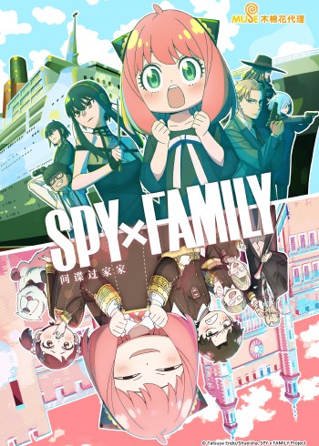 间谍过家家 第12季日配