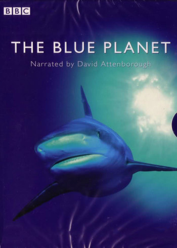 那就是声优 特别篇